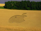 Fondos de escritorio y pantalla de Apple