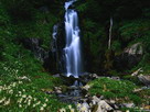 Fondos de escritorio y pantalla de Cascadas y Cataratas