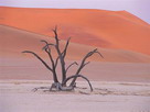 Fondos de escritorio y pantalla de Desiertos