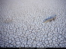Fondos de escritorio y pantalla de Desiertos