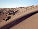 Fondos de escritorio y pantalla de Desiertos