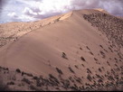 Fondos de escritorio y pantalla de Desiertos