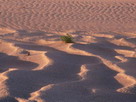 Fondos de escritorio y pantalla de Desiertos