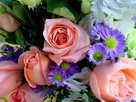 Fondos de escritorio y pantalla de Flores