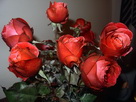 Fondos de escritorio y pantalla de Flores