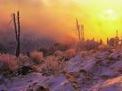 Fondos de escritorio y pantalla de Nieve