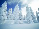 Fondos de escritorio y pantalla de Nieve
