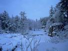Fondos de escritorio y pantalla de Nieve