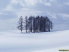 Fondos de escritorio y pantalla de Nieve