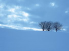 Fondos de escritorio y pantalla de Nieve