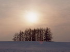 Fondos de escritorio y pantalla de Nieve