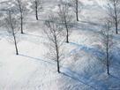 Fondos de escritorio y pantalla de Nieve