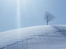 Fondos de escritorio y pantalla de Nieve