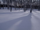 Fondos de escritorio y pantalla de Nieve