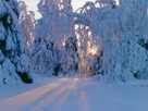 Fondos de escritorio y pantalla de Nieve