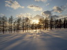 Fondos de escritorio y pantalla de Nieve