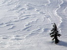 Fondos de escritorio y pantalla de Nieve