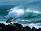 Fondos de escritorio y pantalla de Olas