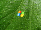 Fondos de escritorio y pantalla de Windows_Vista